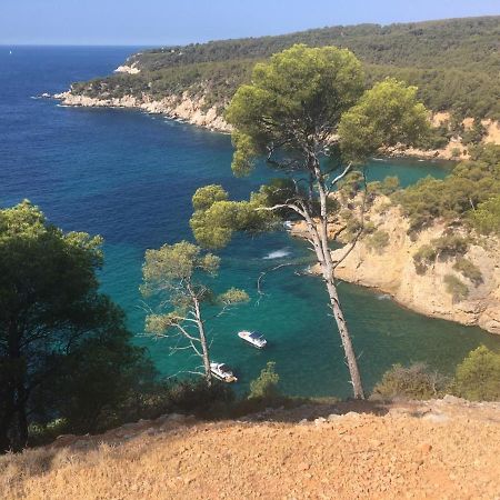 Sanary Sur Mer Appartement 30M2 T2 Avec Terrasse Piscine 10Min A Pied De La Plage Kültér fotó