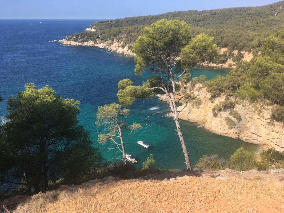 Sanary Sur Mer Appartement 30M2 T2 Avec Terrasse Piscine 10Min A Pied De La Plage Kültér fotó